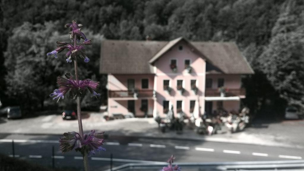 Okrepcevalnica Kurn'K Bed & Breakfast Cerkno Eksteriør bilde